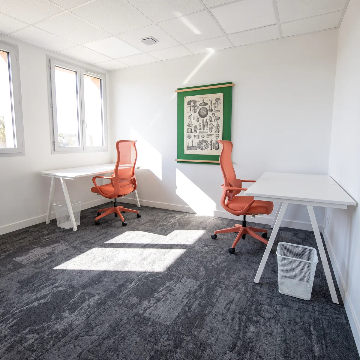 Bureau privatif 2 postes WIDE Andrézieux-Bouthéon, photo non contractuelle
