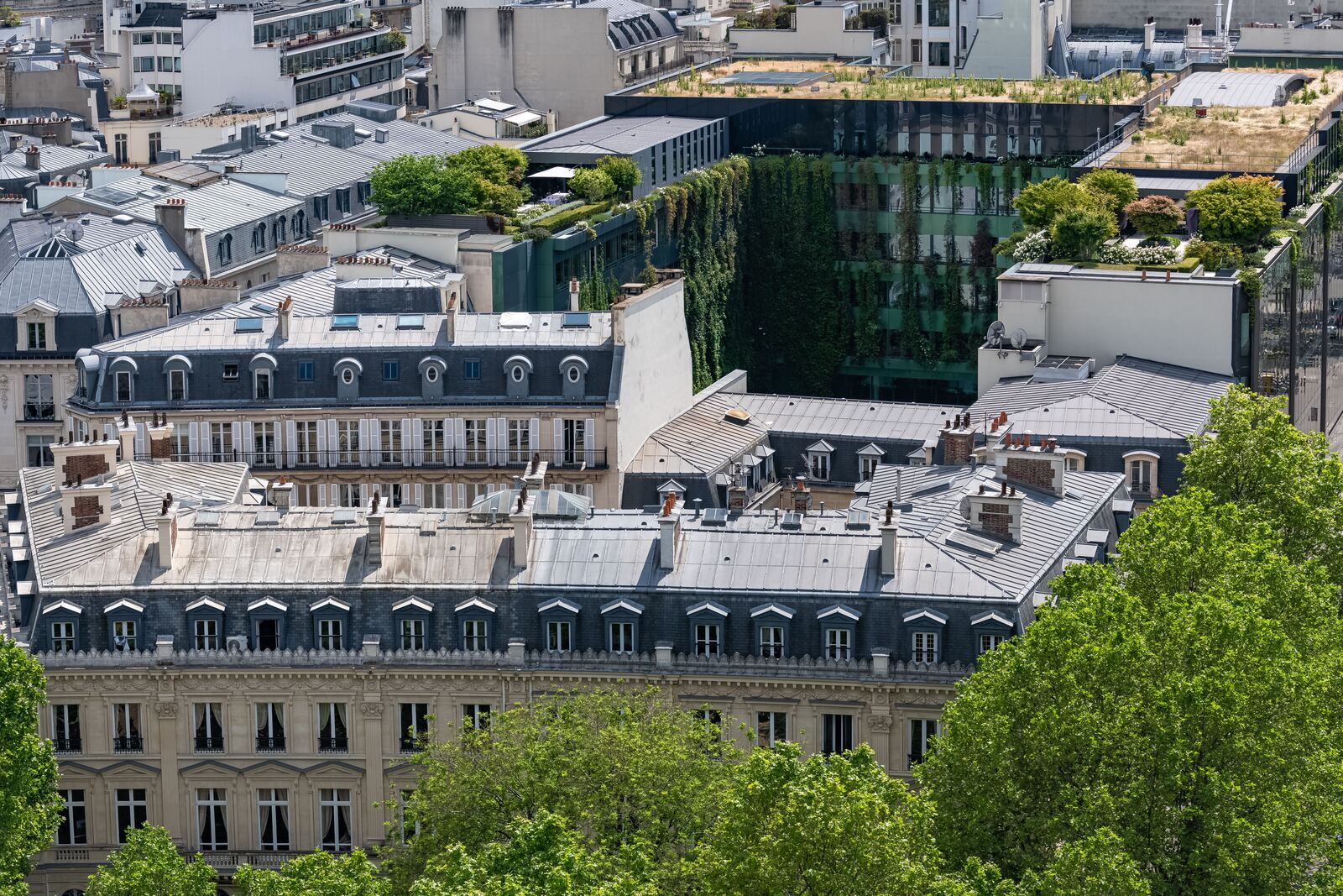 Toits en zinc et façades haussmanniennes, vus d'en haut, avec un immeuble végétalisé au centre