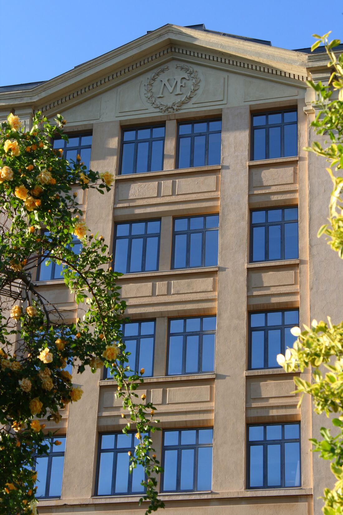 Façade en pierre d'un immeuble de bureaux à Saint-Étienne, ornée d'un fronton à médaillon, derrière un rosier en fleurs