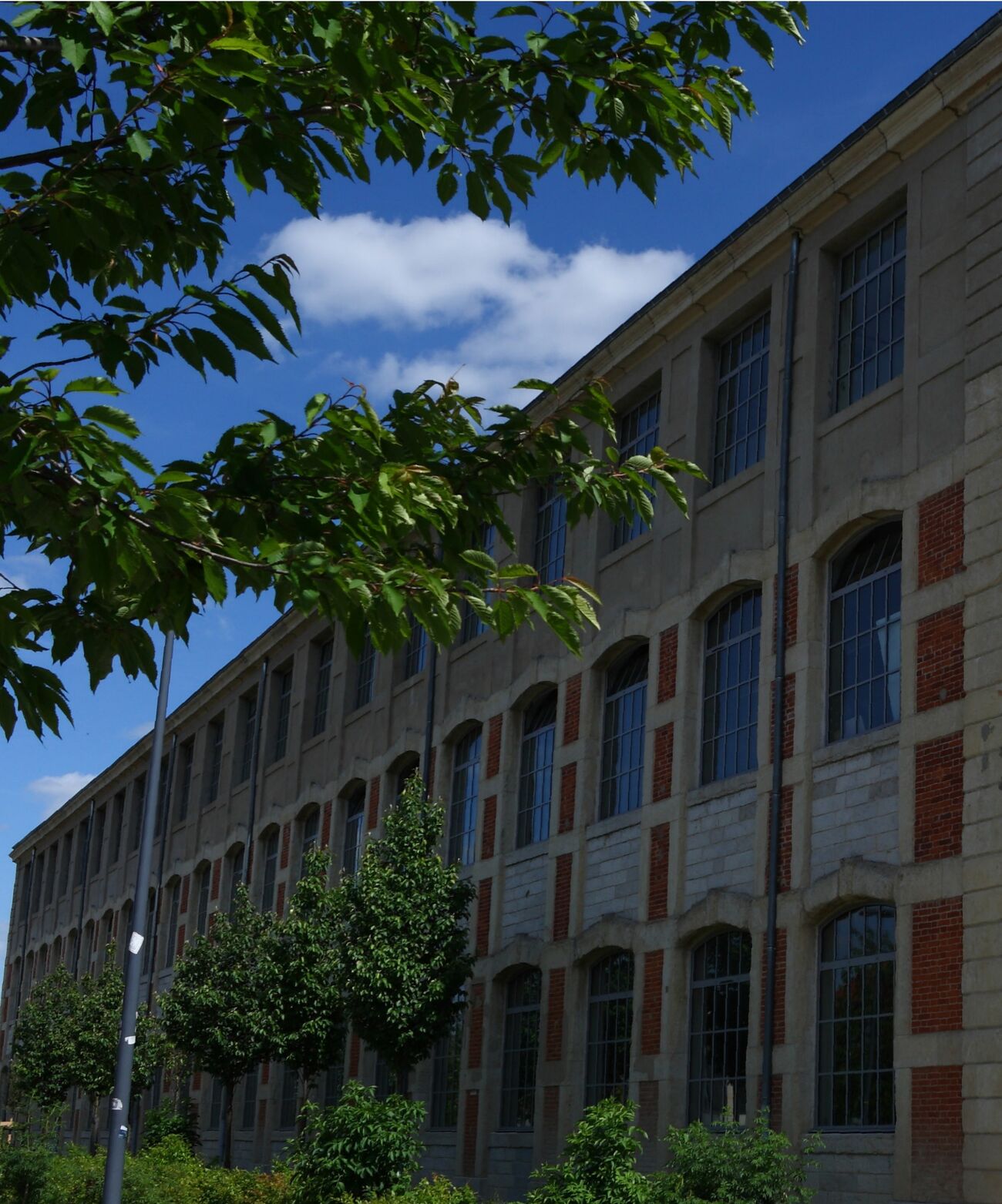 Façade d'un ancien bâtiment industriel en briques et pierre, à travers les feuillages